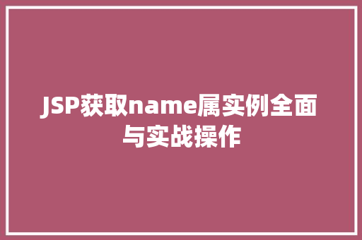 JSP获取name属实例全面与实战操作  第1张