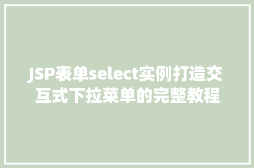 JSP表单select实例打造交互式下拉菜单的完整教程  第1张