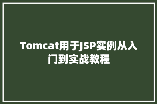 Tomcat用于JSP实例从入门到实战教程  第1张