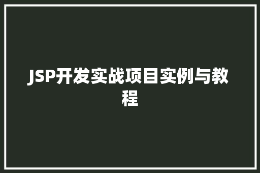 JSP开发实战项目实例与教程
