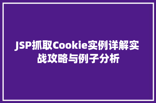 JSP抓取Cookie实例详解实战攻略与例子分析