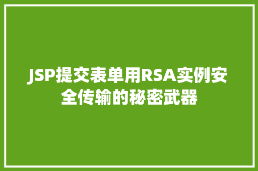 JSP提交表单用RSA实例安全传输的秘密武器