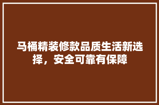马桶精装修款品质生活新选择，安全可靠有保障