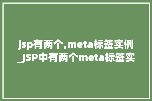 jsp有两个,meta标签实例_JSP中有两个meta标签实例其作用与用法
