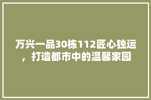 万兴一品30栋112匠心独运，打造都市中的温馨家园