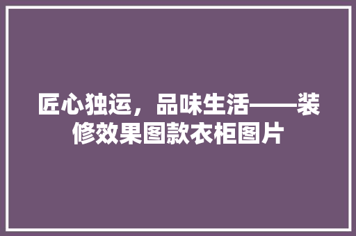 匠心独运,品味生活——装修效果图款衣柜图片