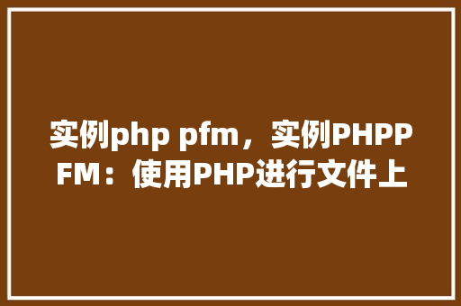 实例php pfm，实例PHPPFM：使用PHP进行文件上传处理实例