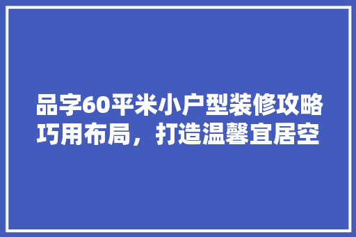 品字60平米小户型装修攻略巧用布局，打造温馨宜居空间