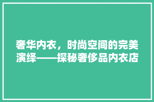 奢华内衣，时尚空间的完美演绎——探秘奢侈品内衣店铺装修艺术