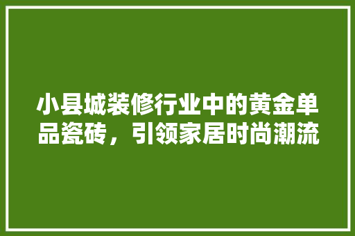 小县城装修行业中的黄金单品瓷砖,引领家居时尚潮流