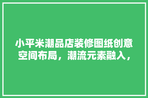 小平米潮品店装修图纸创意空间布局，潮流元素融入，打造个时尚空间