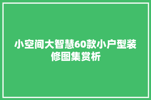 小空间大智慧60款小户型装修图集赏析