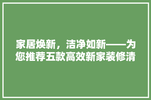 家居焕新,洁净如新——为您推荐五款高效新家装修清洁剂 第1张 家居焕新,洁净如新——为您推荐五款高效新家装修清洁剂 第1张