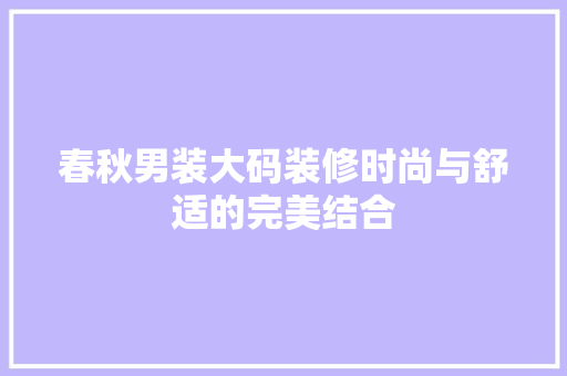 春秋男装大码装修时尚与舒适的完美结合