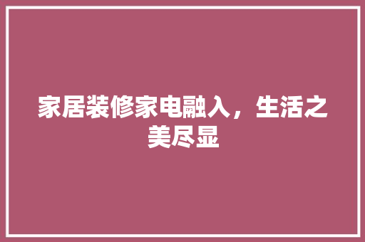 家居装修家电融入，生活之美尽显