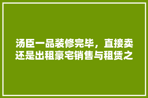 汤臣一品装修完毕，直接卖还是出租豪宅销售与租赁之路