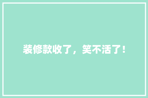 装修款收了，笑不活了！