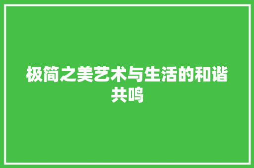 极简之美艺术与生活的和谐共鸣