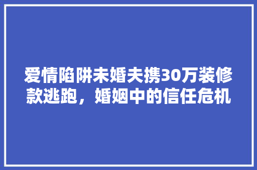 爱情陷阱未婚夫携30万装修款逃跑，婚姻中的信任危机