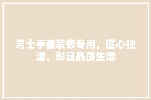 男士手套装修专用，匠心独运，彰显品质生活