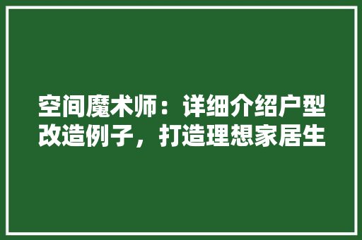 空间魔术师：详细介绍户型改造例子，打造理想家居生活