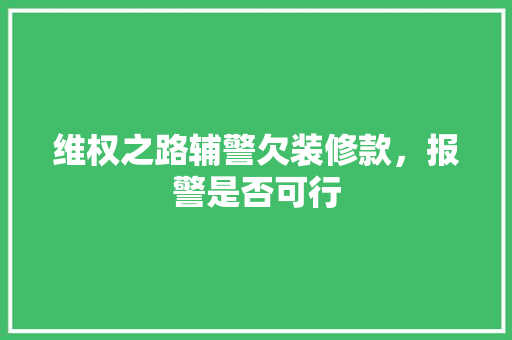 维权之路辅警欠装修款，报警是否可行