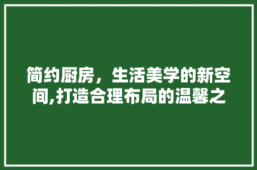 简约厨房,生活美学的新空间,打造合理布局的温馨之家