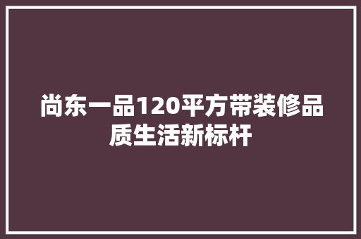 尚东一品120平方带装修品质生活新标杆