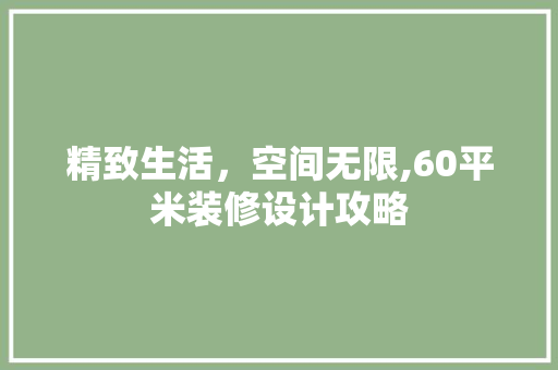 精致生活，空间无限,60平米装修设计攻略