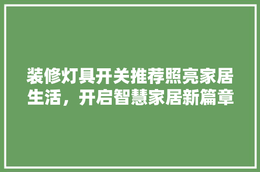 装修灯具开关推荐照亮家居生活，开启智慧家居新篇章
