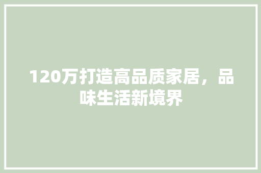 120万打造高品质家居，品味生活新境界