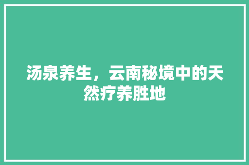 汤泉养生,云南秘境中的天然疗养胜地 第1张 汤泉养生,云南秘境中的天然疗养胜地 第1张