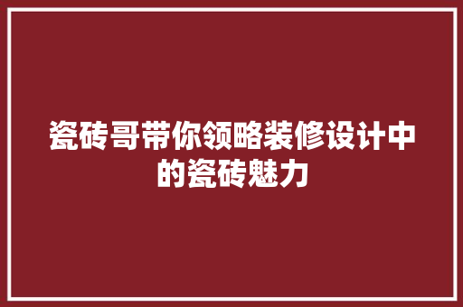 瓷砖哥带你领略装修设计中的瓷砖魅力