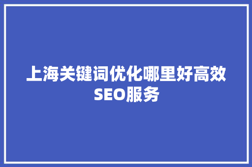 上海关键词优化哪里好高效SEO服务  第1张