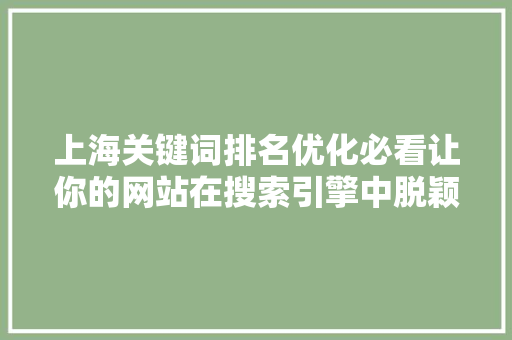 上海关键词排名优化必看让你的网站在搜索引擎中脱颖而出