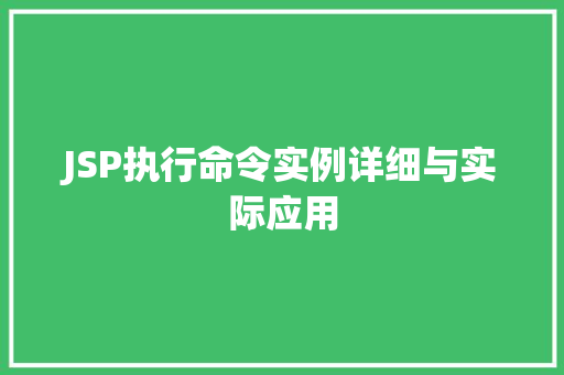 JSP执行命令实例详细与实际应用