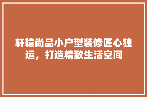 轩辕尚品小户型装修匠心独运，打造精致生活空间