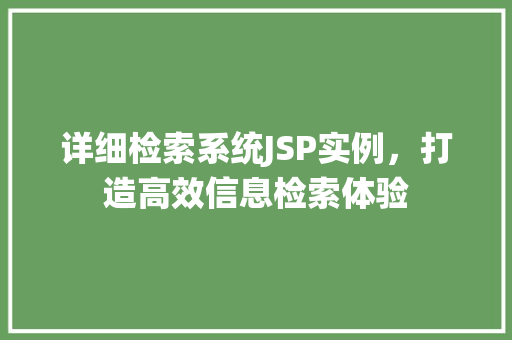 详细检索系统JSP实例，打造高效信息检索体验